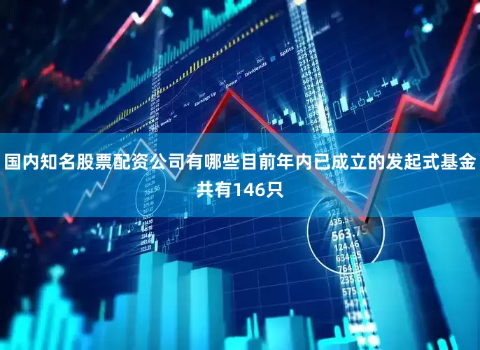 国内知名股票配资公司有哪些目前年内已成立的发起式基金共有146只