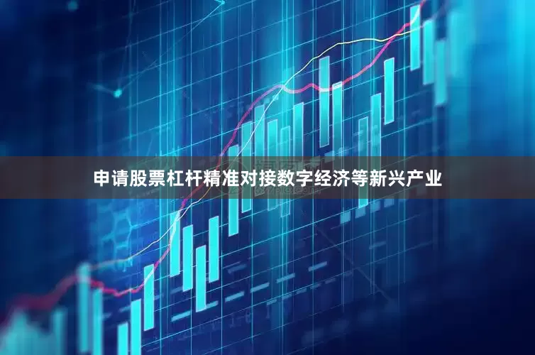 申请股票杠杆精准对接数字经济等新兴产业